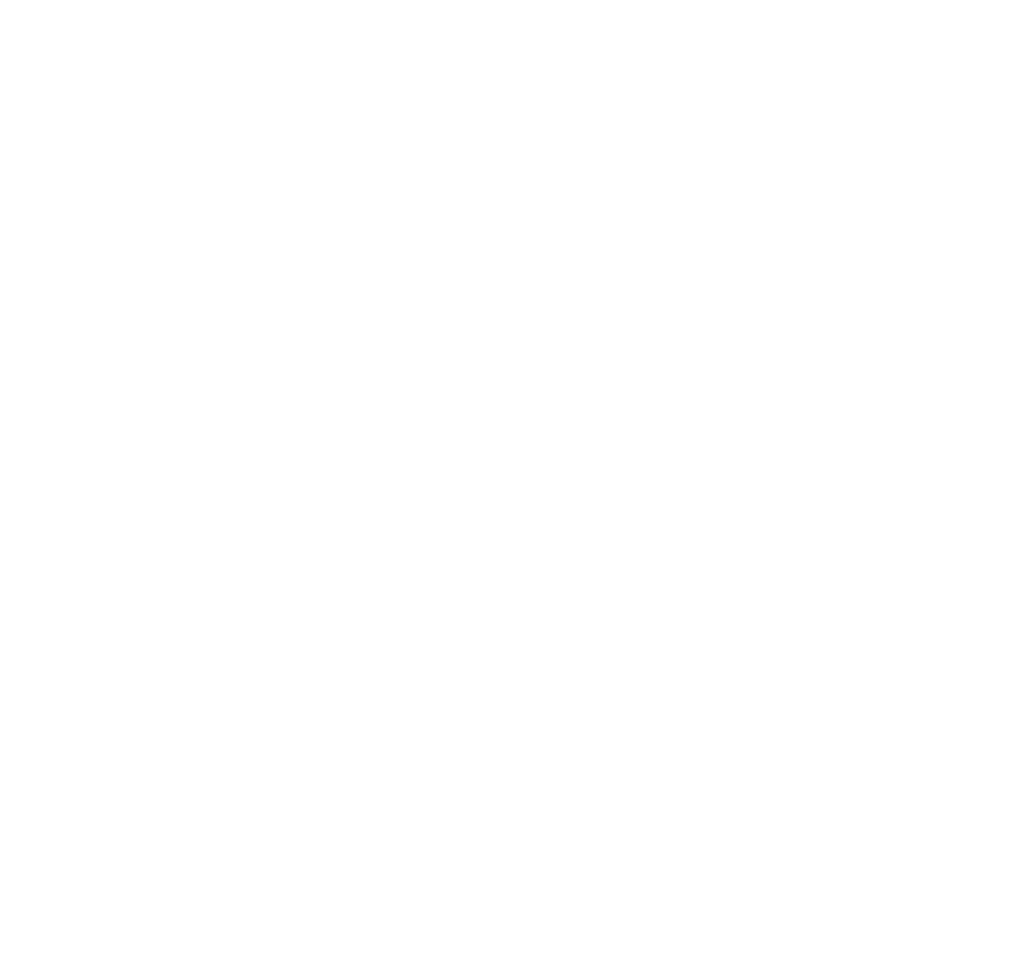 Logo SMV 2025 V White